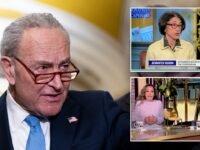 Liberal media commentators, Democrats pile on Chuck Schumer for siding with GOP